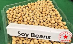 南陽月嫂泓德家政公司_素食催乳十大佳品