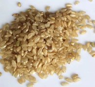 南陽(yáng)月嫂泓德家政公司_怎么搭配自己的營(yíng)養(yǎng)膳食有利于健康